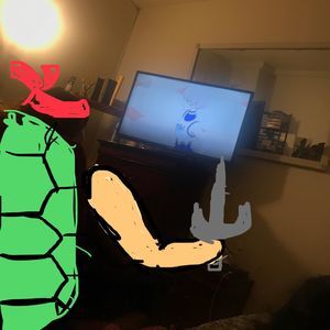 Meet your Posher, Mireya